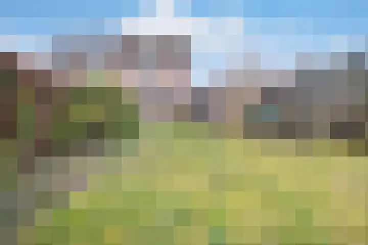 Kalmoes 24 Sint-Oedenrode thumbnail 25