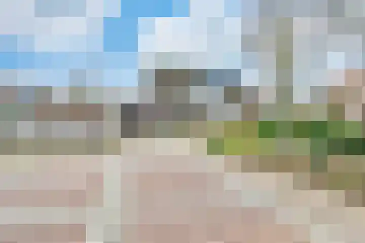 Kalmoes 24 Sint-Oedenrode thumbnail 27