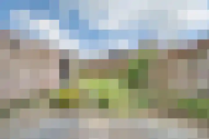 Kalmoes 24 Sint-Oedenrode thumbnail 4