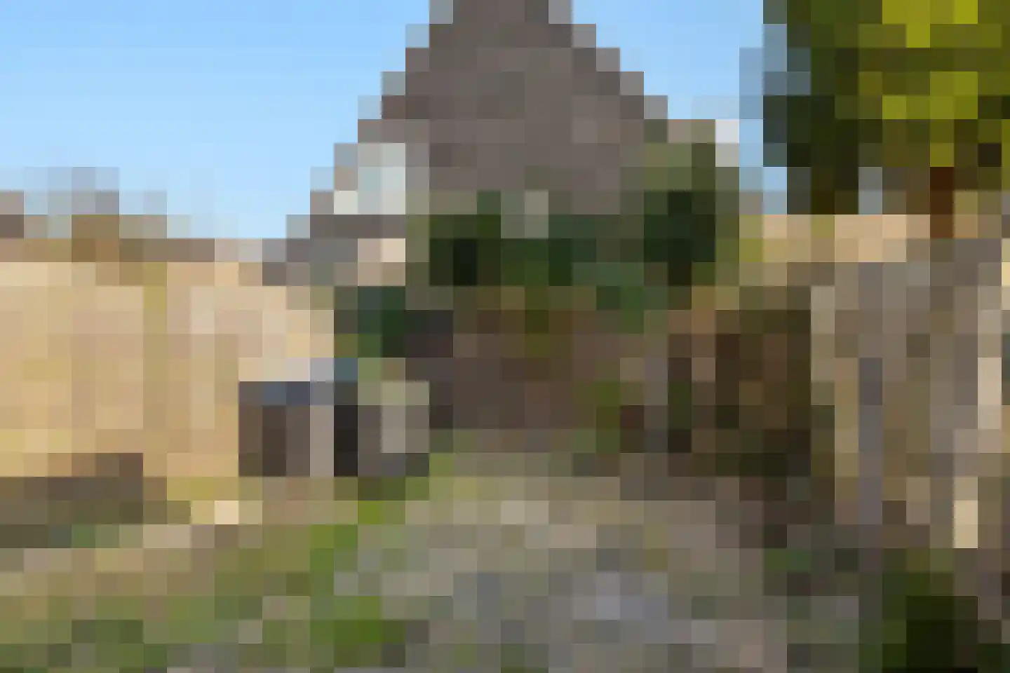 Kalmoes 25 Alblasserdam thumbnail 13