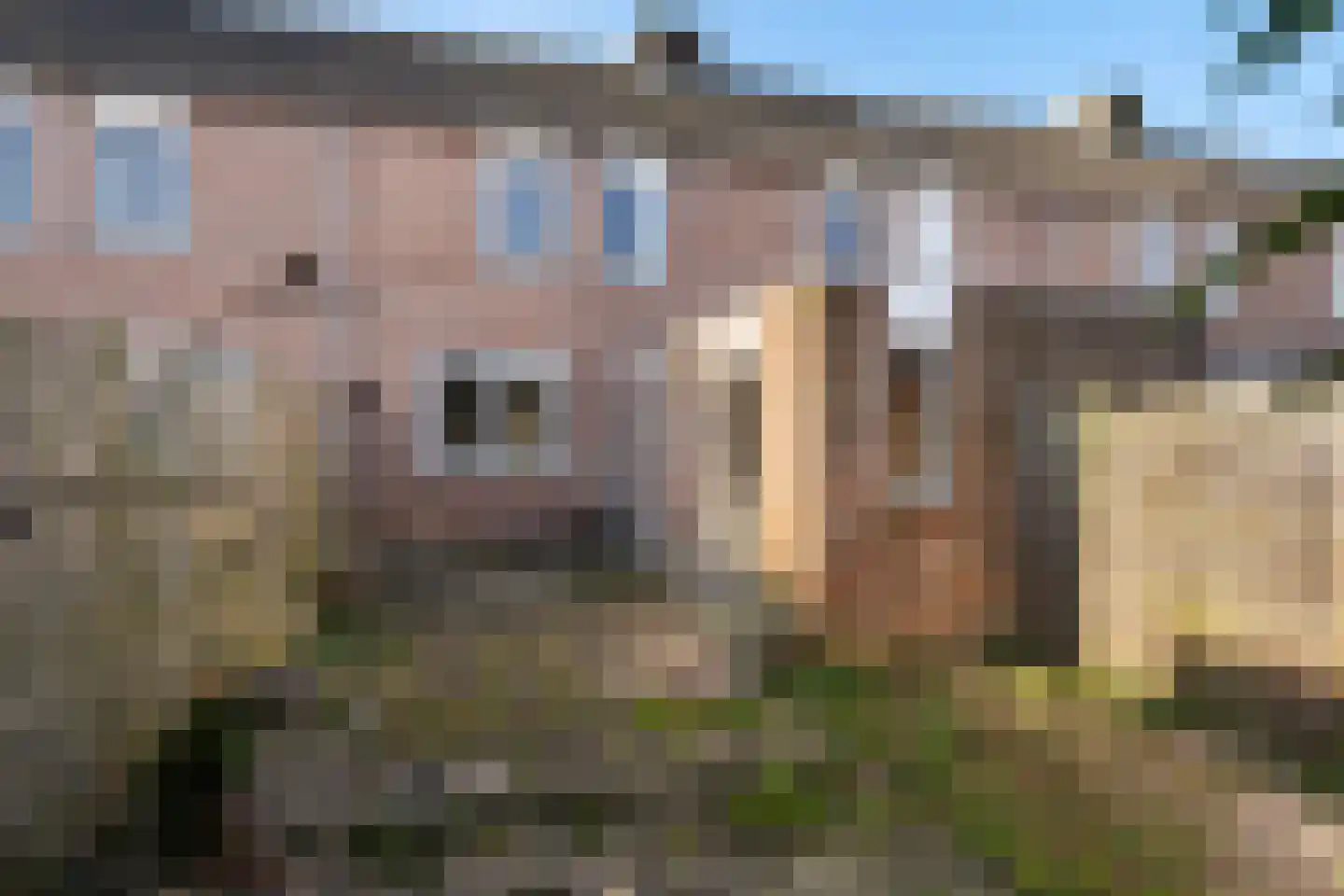 Kalmoes 25 Alblasserdam thumbnail 14