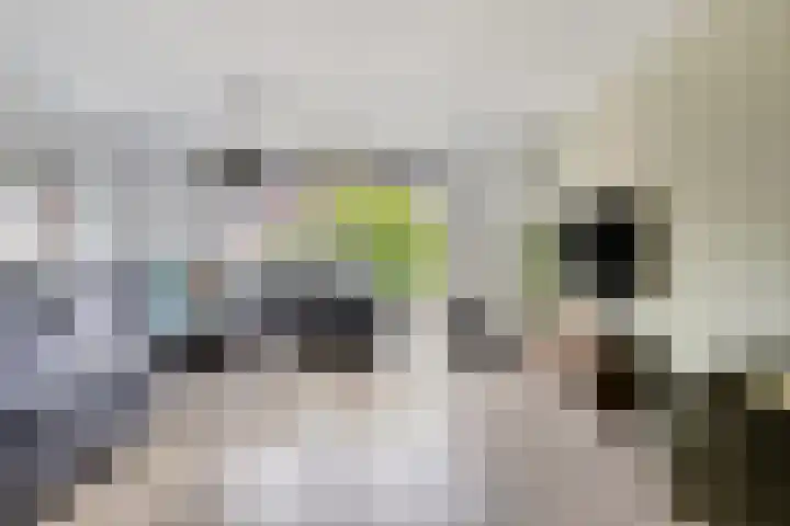 Kalmoes 26 Cuijk thumbnail 10
