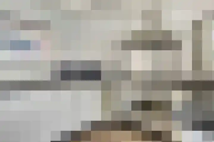 Kalmoes 26 Cuijk thumbnail 14