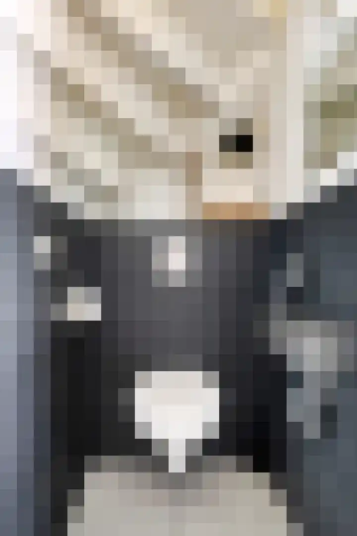 Kalmoes 26 Cuijk thumbnail 16