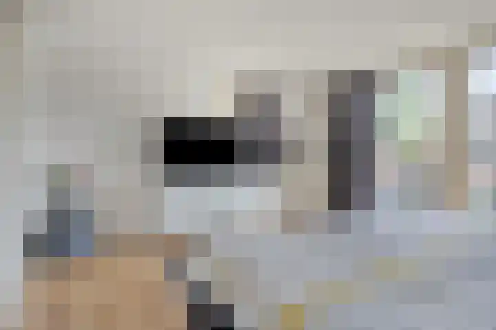 Kalmoes 26 Cuijk thumbnail 19
