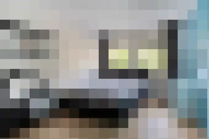 Kalmoes 26 Cuijk thumbnail 21
