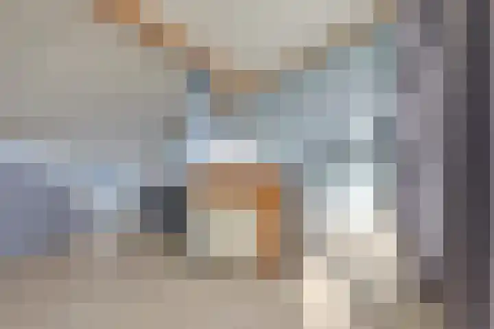 Kalmoes 26 Cuijk thumbnail 25