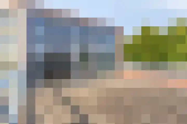 Kalmoes 26 Cuijk thumbnail 27