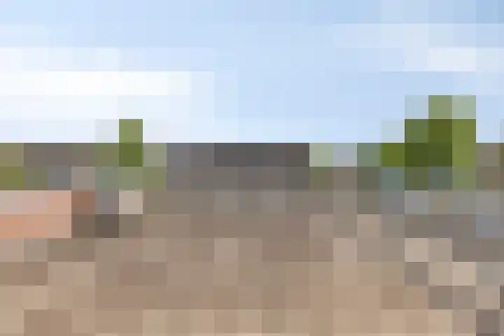 Kalmoes 26 Cuijk thumbnail 28
