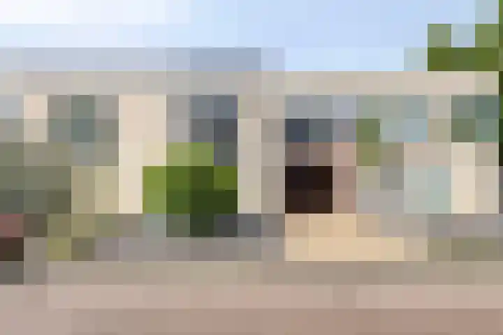 Kalmoes 26 Cuijk thumbnail 29