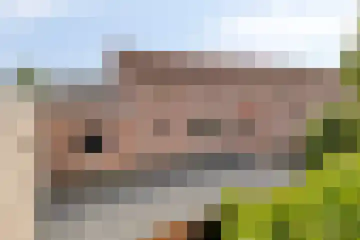 Kalmoes 26 Cuijk thumbnail 30