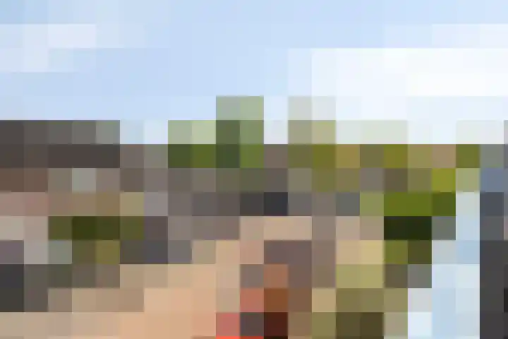 Kalmoes 26 Cuijk thumbnail 31