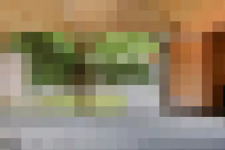 Kalmoes 26 Cuijk thumbnail 32