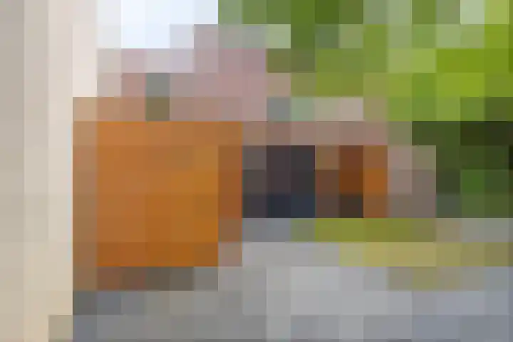 Kalmoes 26 Cuijk thumbnail 33