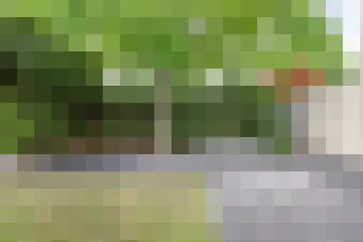Kalmoes 26 Cuijk thumbnail 34