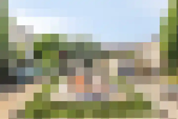 Kalmoes 26 Cuijk thumbnail 35
