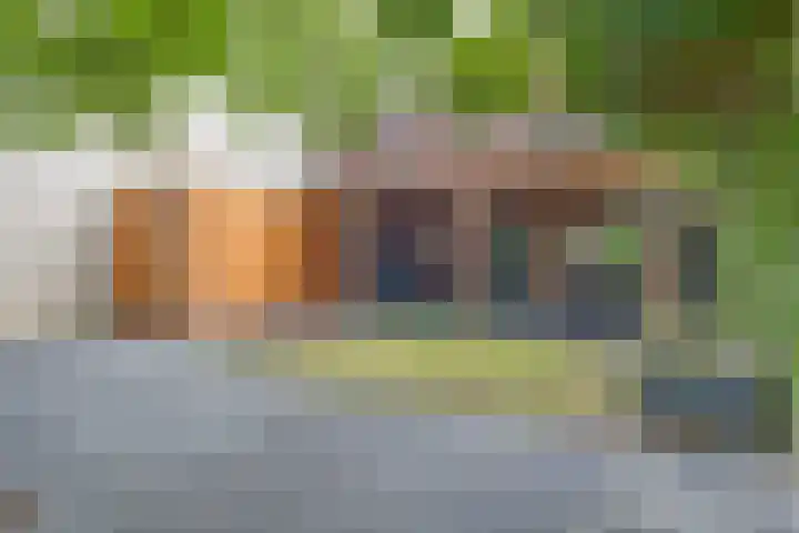 Kalmoes 26 Cuijk thumbnail 6