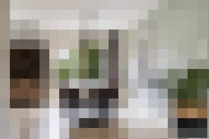 Kalmoes 3 Buitenpost thumbnail 10