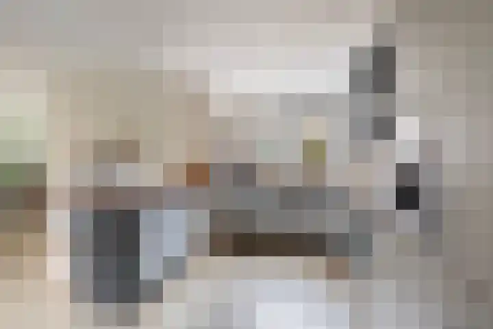 Kalmoes 3 Buitenpost thumbnail 16