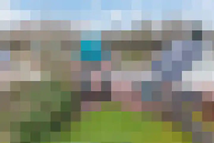 Kalmoes 3 Buitenpost foto 2