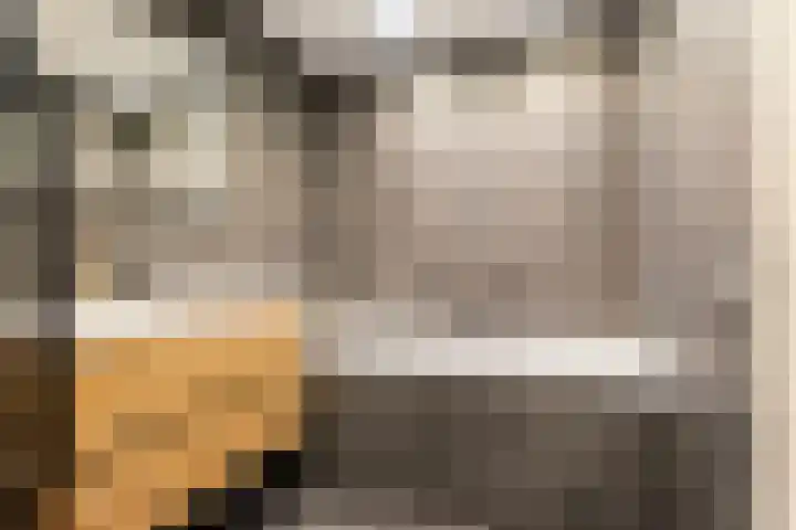 Kalmoes 3 Buitenpost thumbnail 34