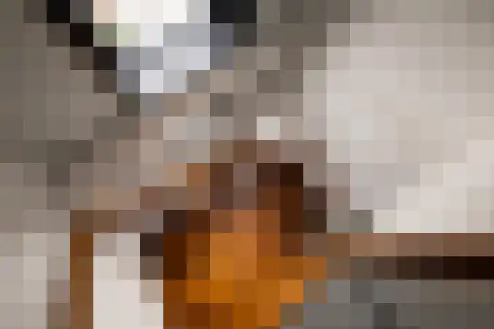 Kalmoes 3 Buitenpost thumbnail 37