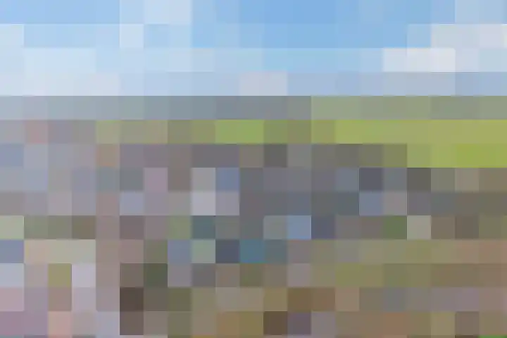 Kalmoes 3 Buitenpost thumbnail 4