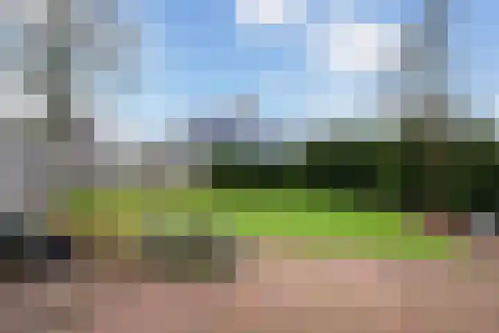 Kalmoes 3 Buitenpost thumbnail 45