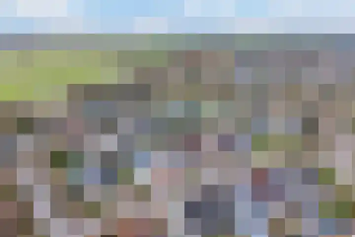 Kalmoes 3 Buitenpost thumbnail 50