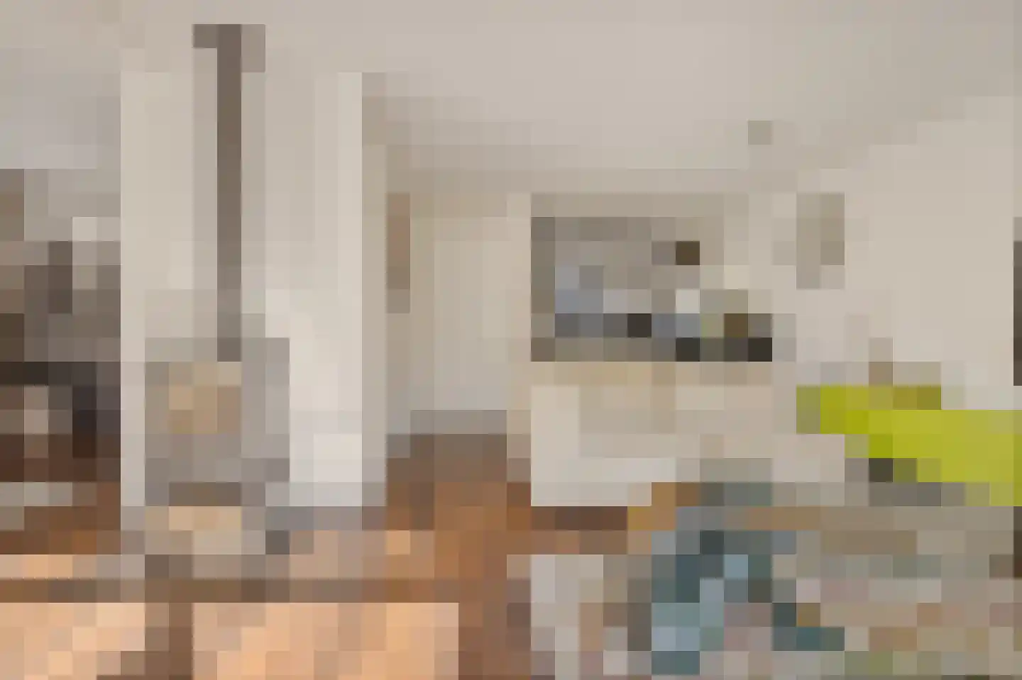 Kalmoes 3 Drachten thumbnail 11