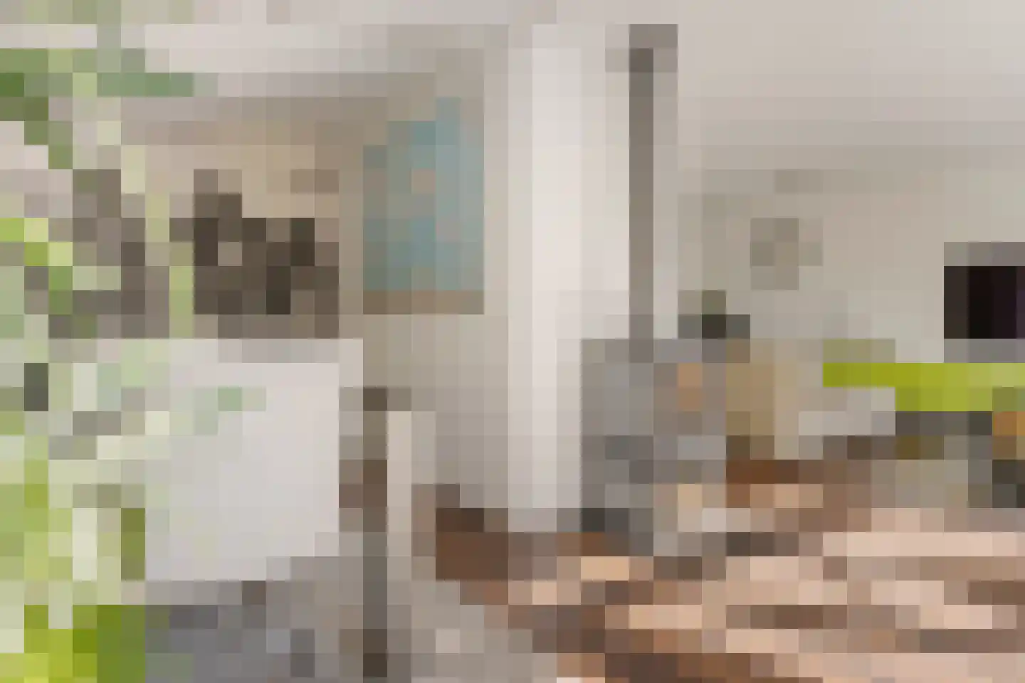 Kalmoes 3 Drachten thumbnail 13