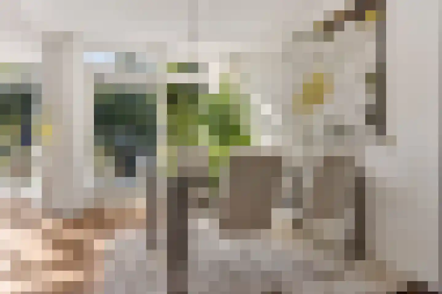 Kalmoes 3 Drachten thumbnail 14