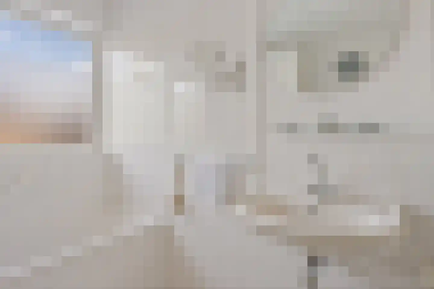 Kalmoes 3 Drachten thumbnail 20