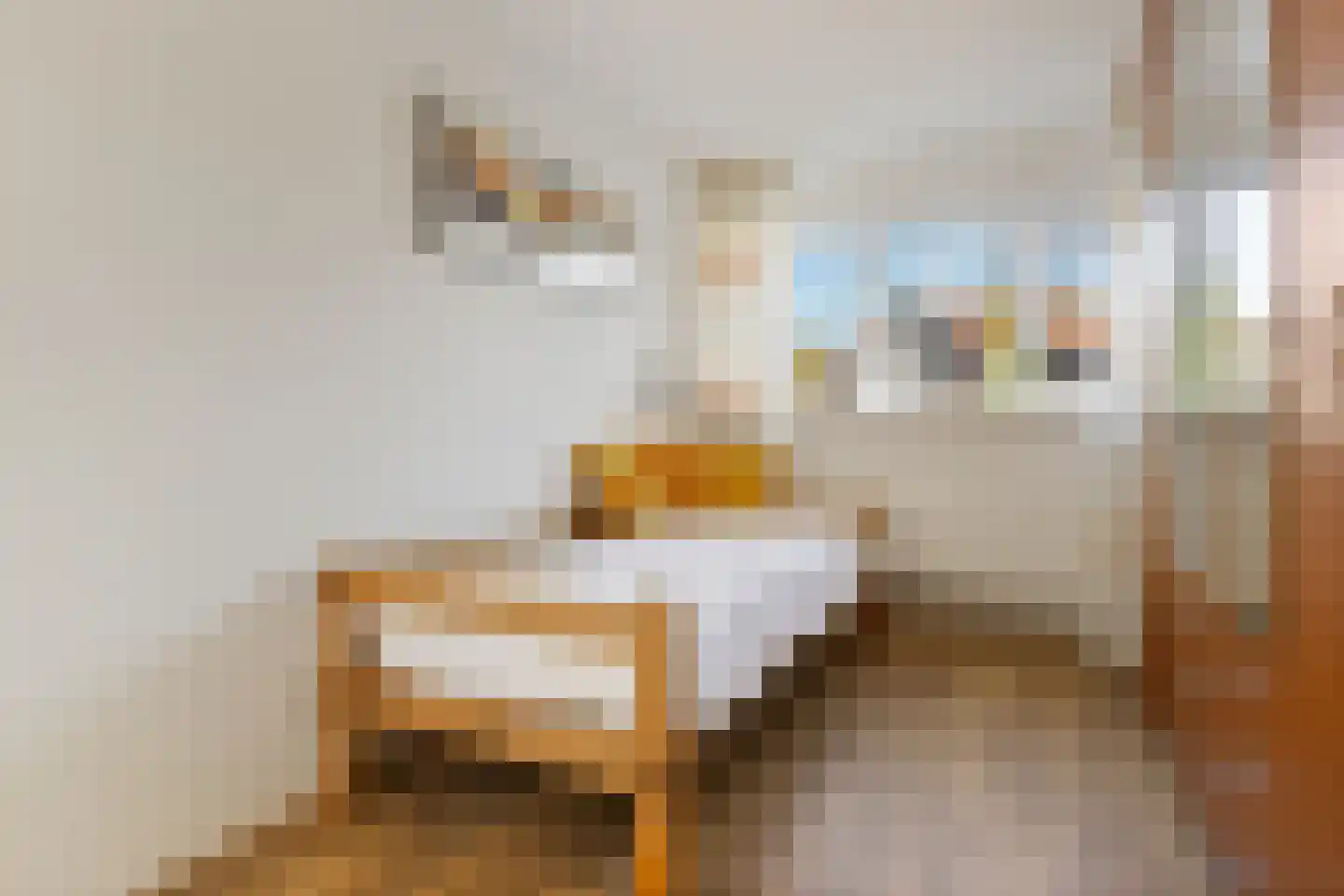 Kalmoes 3 Drachten thumbnail 29