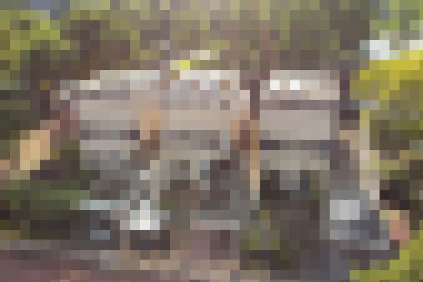 Kalmoes 3 Drachten thumbnail 45