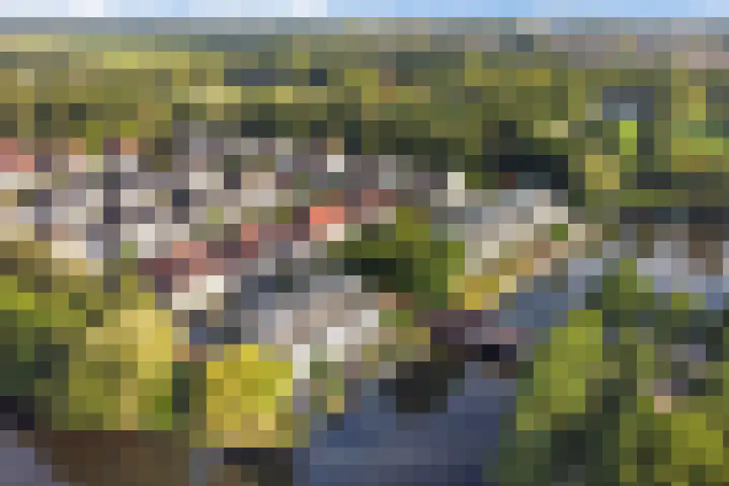Kalmoes 3 Drachten thumbnail 48