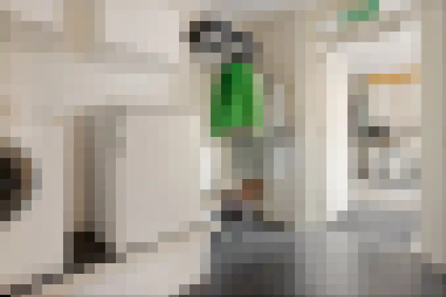 Kalmoes 3 Drachten thumbnail 6