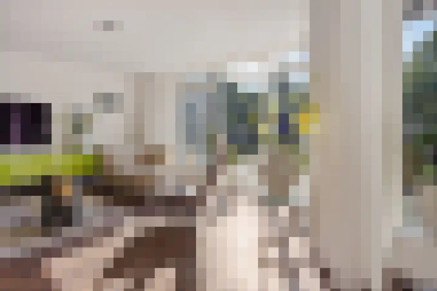 Kalmoes 3 Drachten thumbnail 9