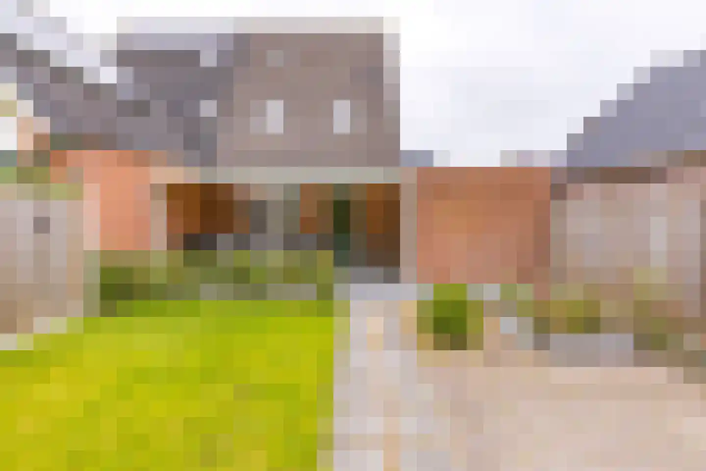 Kalmoes 35 Nieuw-Buinen thumbnail 27