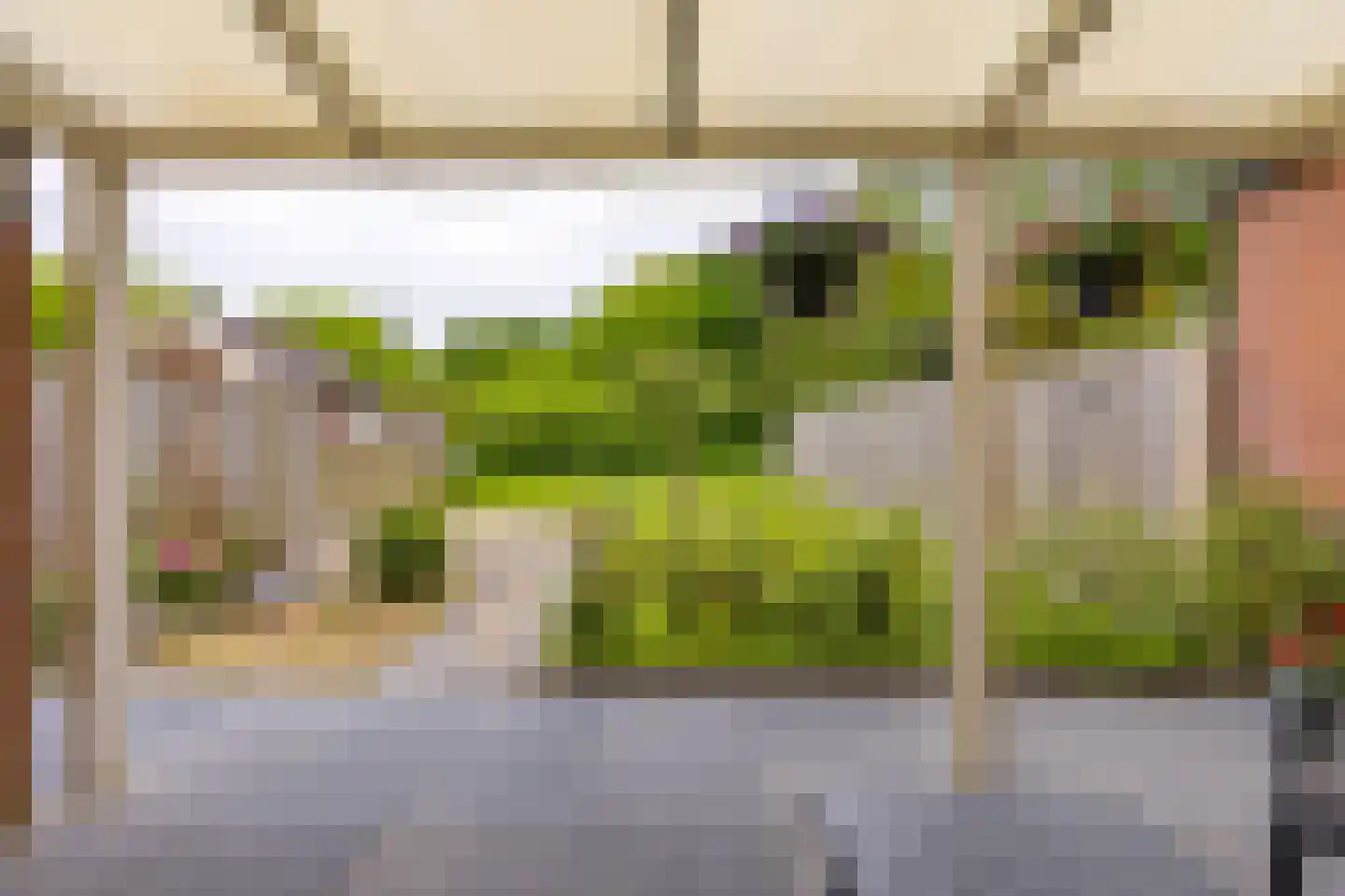 Kalmoes 35 Nieuw-Buinen thumbnail 29