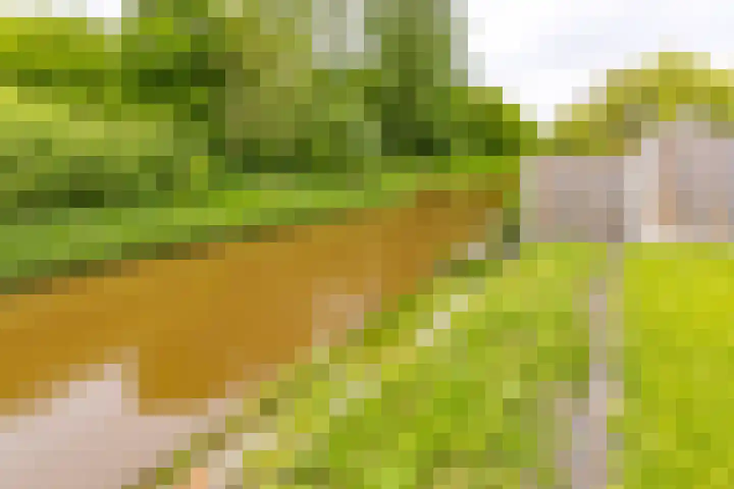 Kalmoes 35 Nieuw-Buinen thumbnail 31