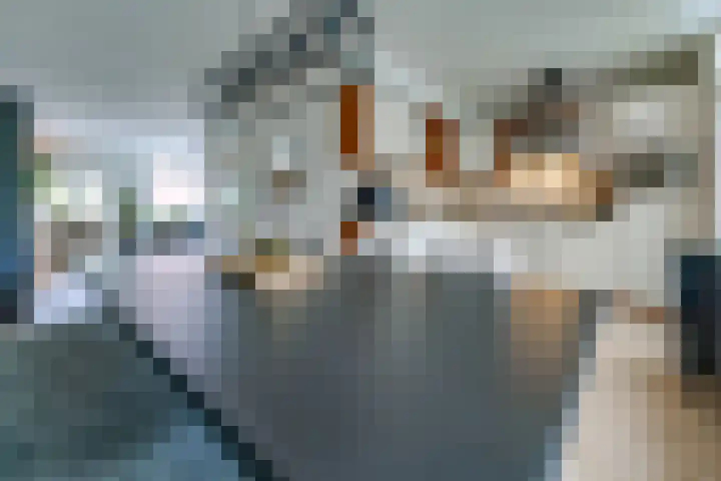 Kalmoes 35 Nieuw-Buinen thumbnail 9