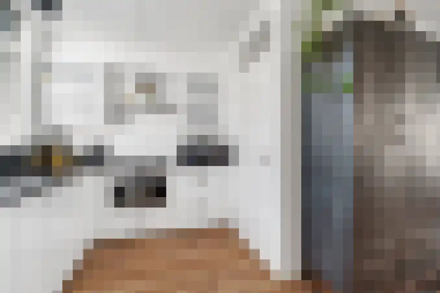 Kalmoes 4 Hardenberg thumbnail 15