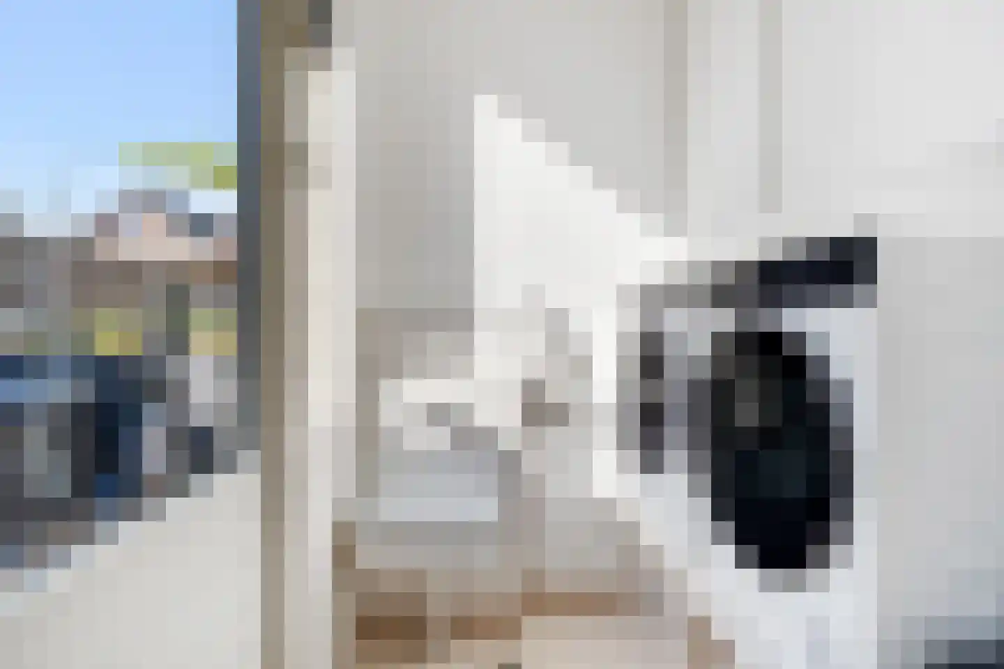 Kalmoes 4 Hardenberg thumbnail 17