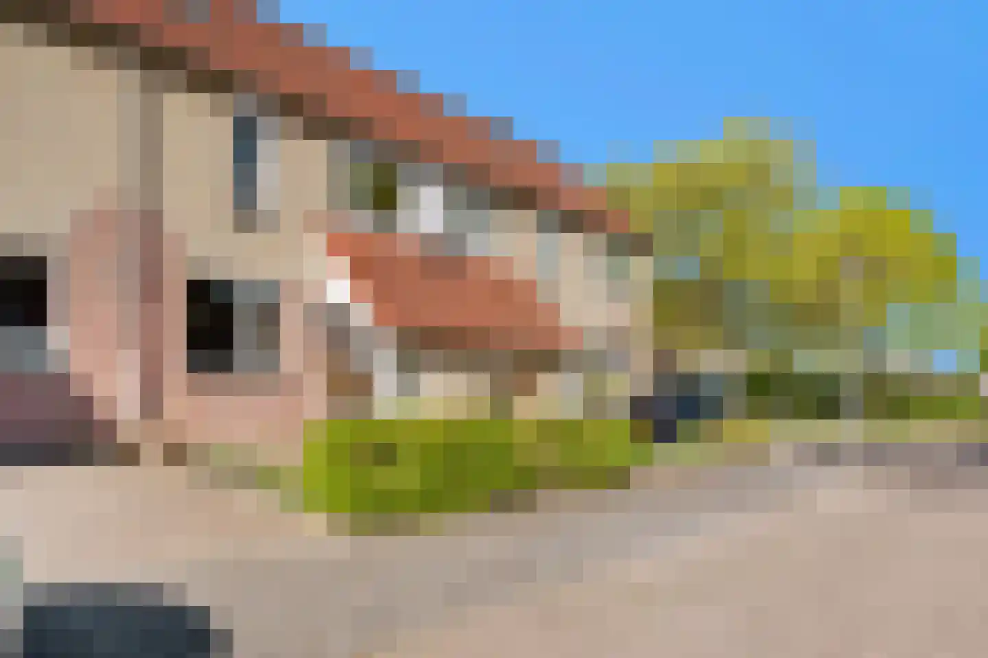 Kalmoes 4 Hardenberg foto 2