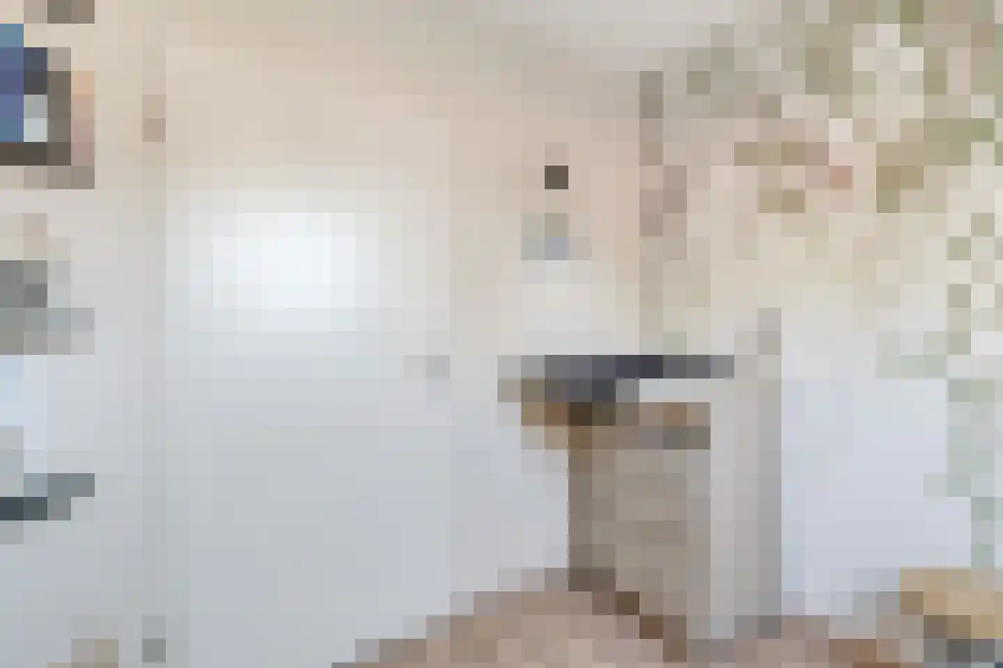 Kalmoes 4 Hardenberg thumbnail 22