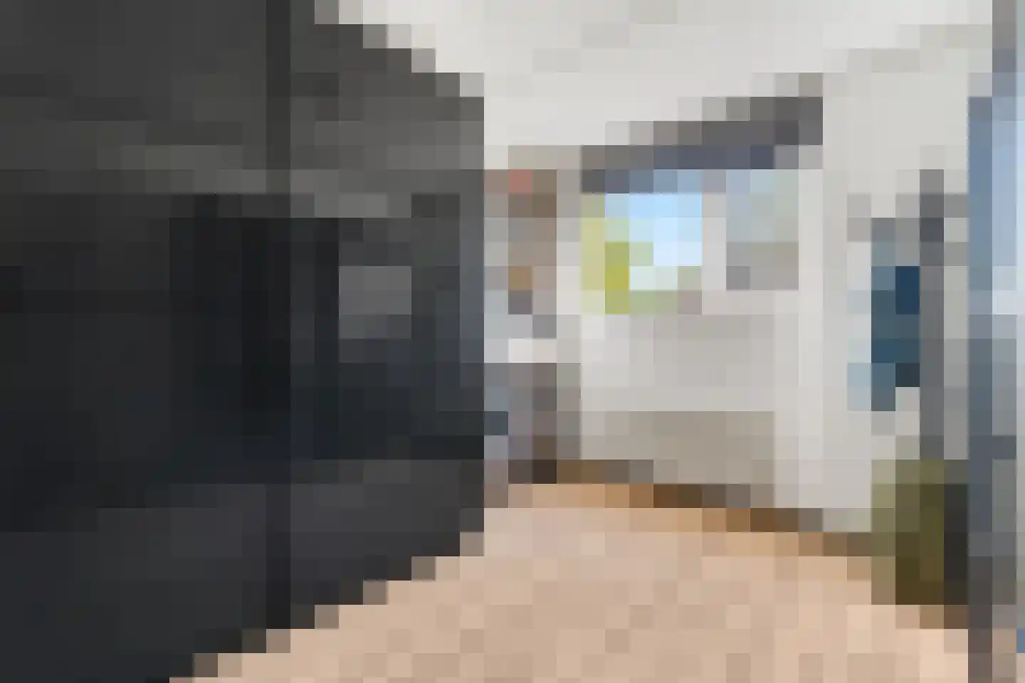 Kalmoes 4 Hardenberg thumbnail 23