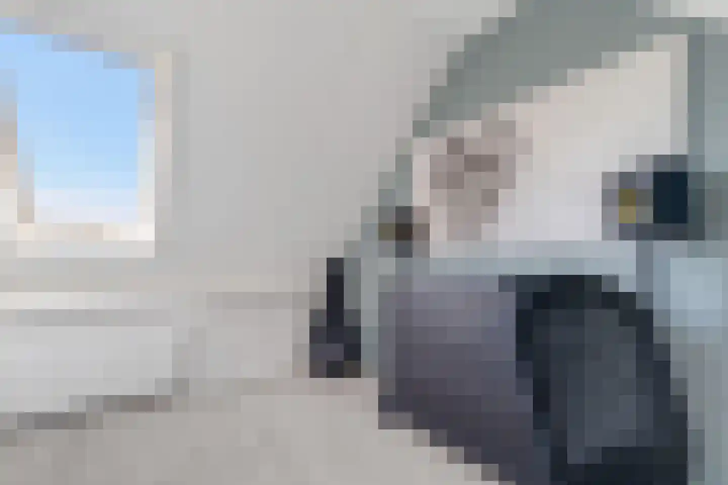 Kalmoes 4 Hardenberg thumbnail 28