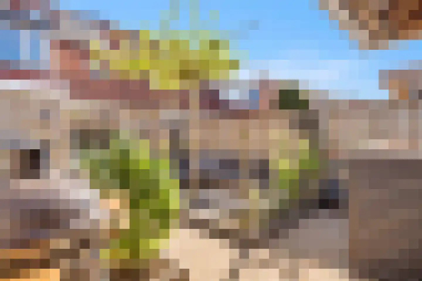 Kalmoes 4 Hardenberg thumbnail 29