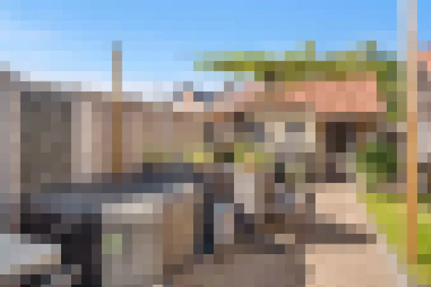 Kalmoes 4 Hardenberg thumbnail 30